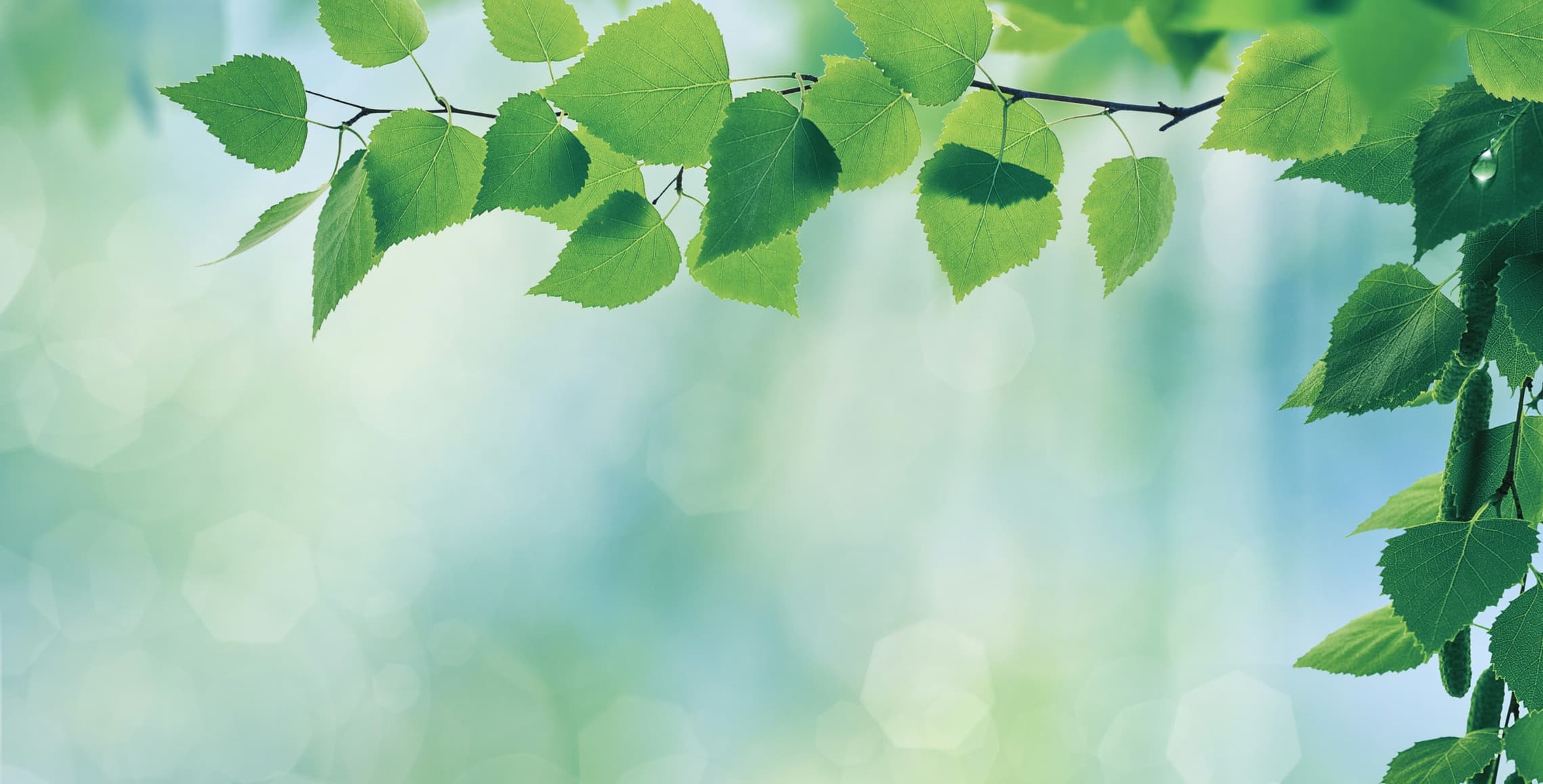 Meine Zukunft finden und gestalten