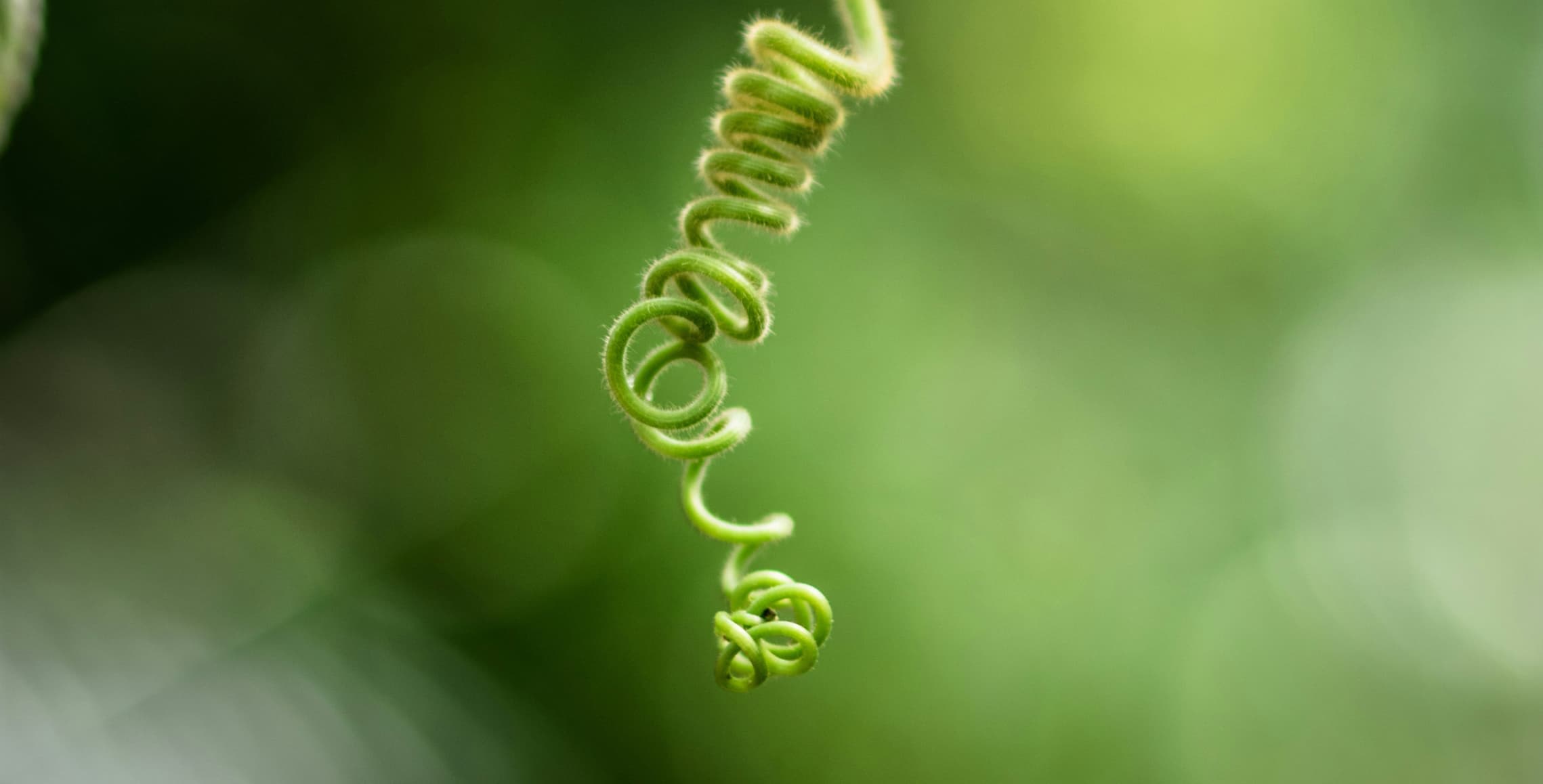 OE-Prozesse initiieren und gestalten