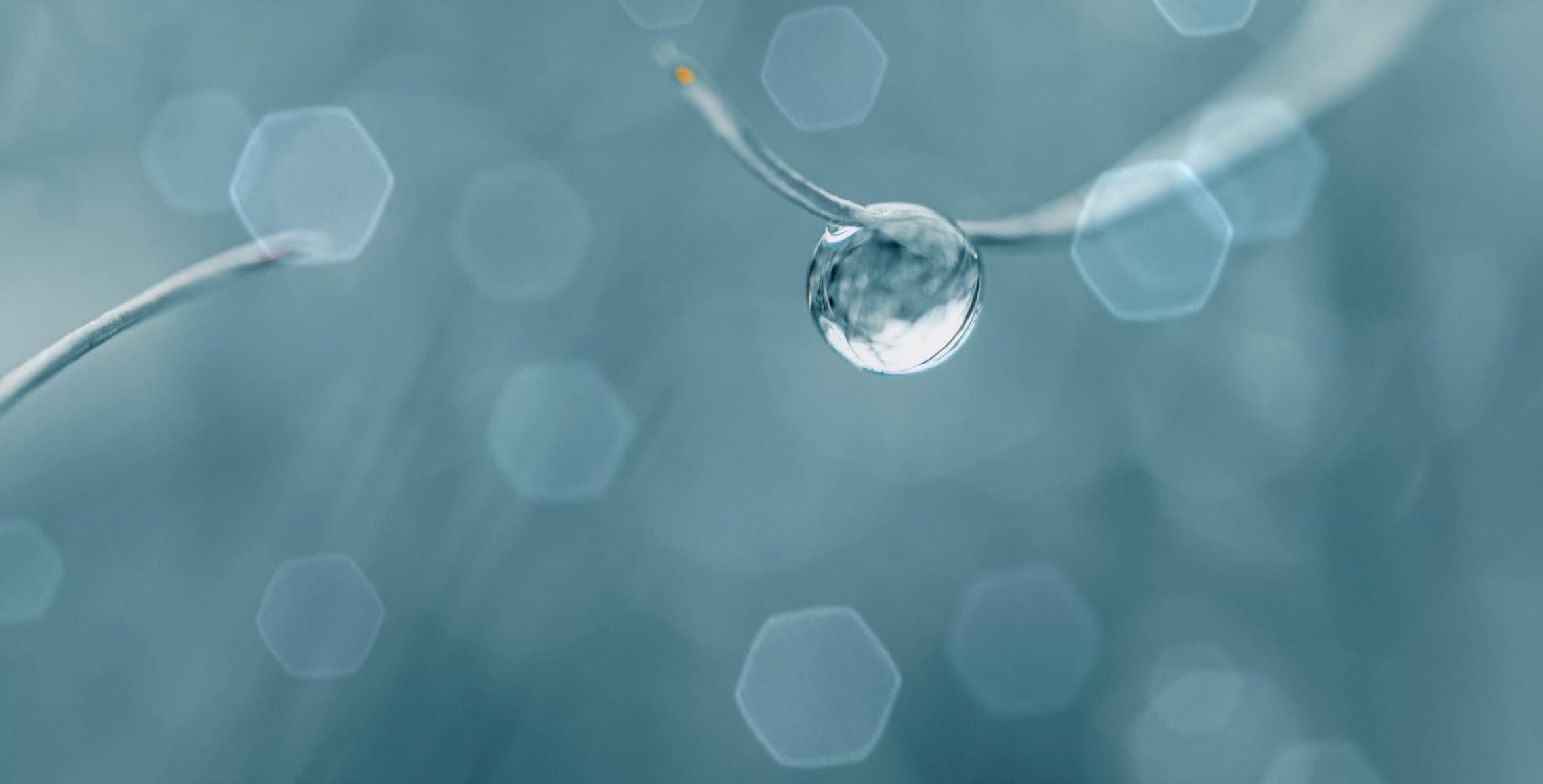 Personales Leadership 2025/26