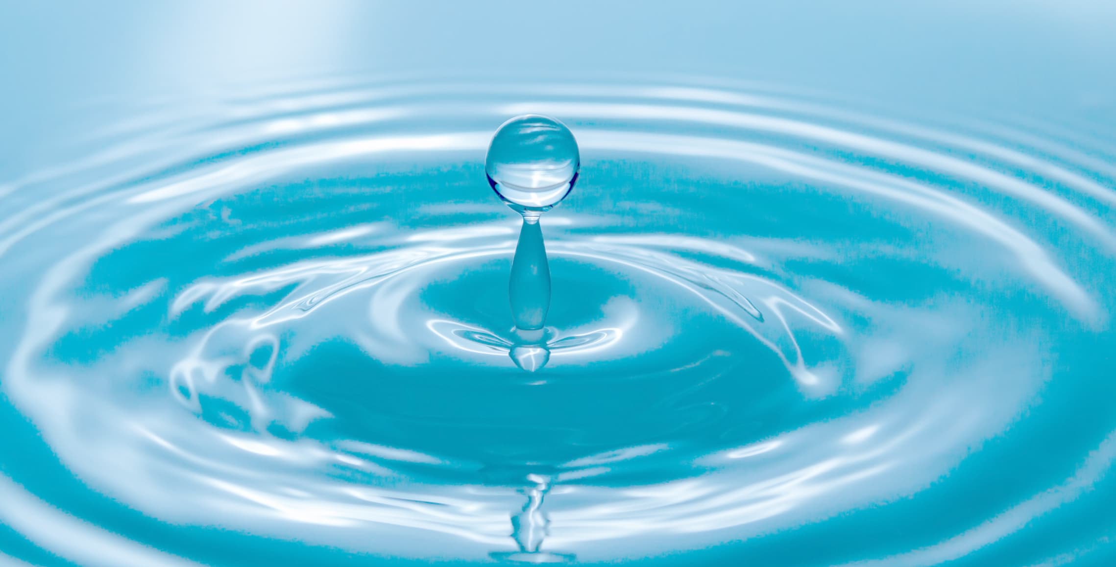 Personales Leadership