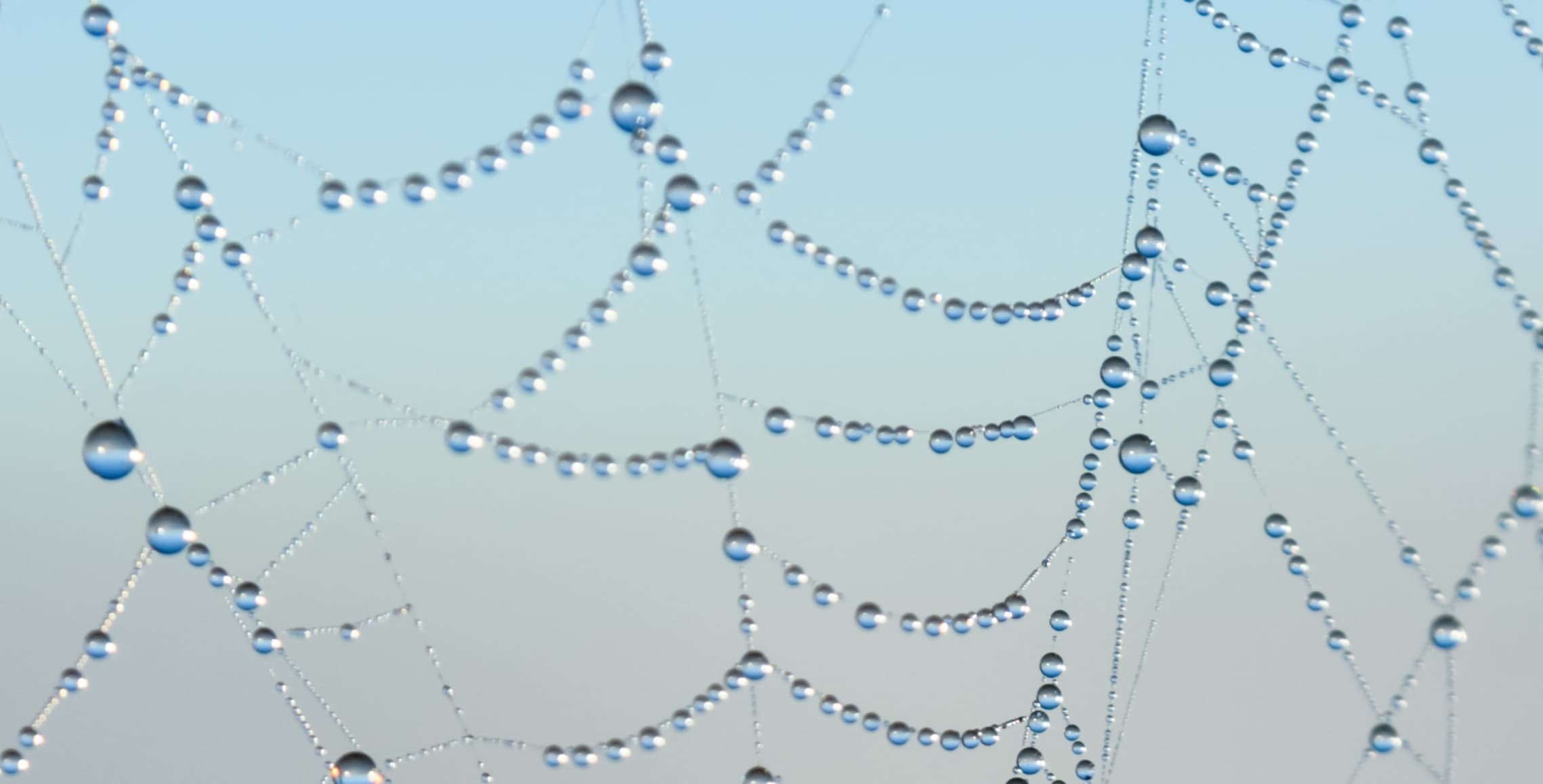 Verantwortung übergeben